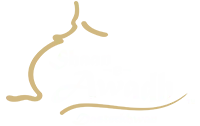 Shaan-e-Awadh